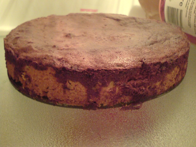 Bloody stupid cake 2